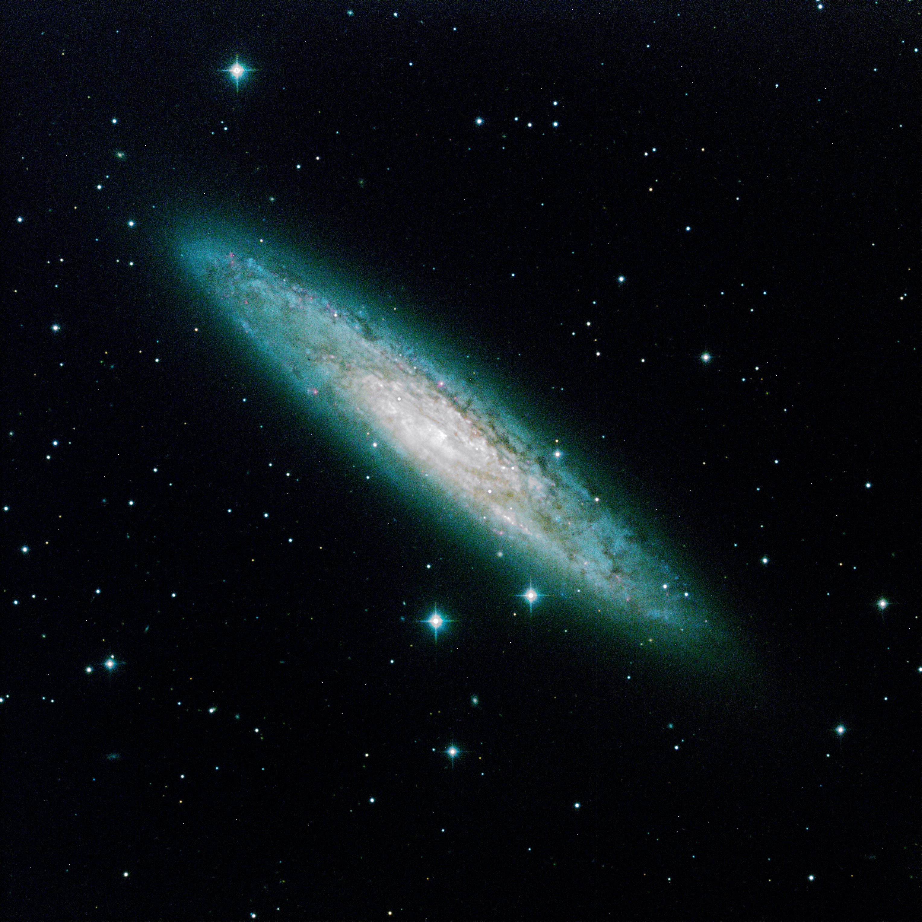 NGC 253 | Telescope Live